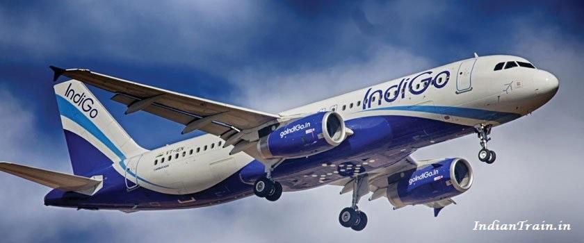 Indigo: The Best Domestic Indian Airlines