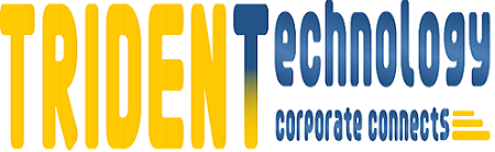 Trident Consultant - Best SAP training institute in Noida
