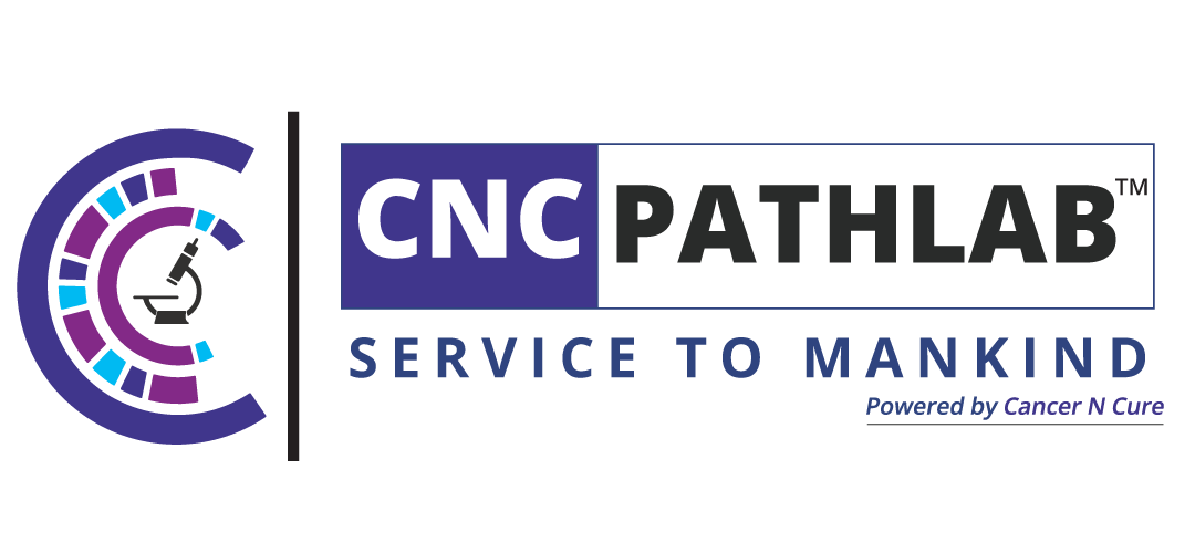 CNC Path Lab