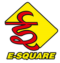E-Square Alliance Pvt. Ltd.