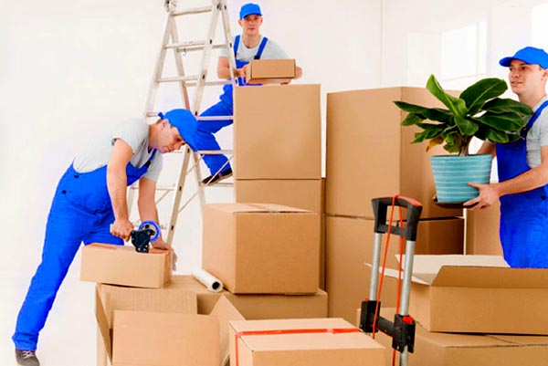 Stepway Packers and Movers Bangalore