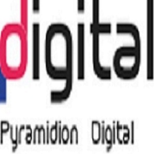 PyraDigital - SEO Service in Chennai