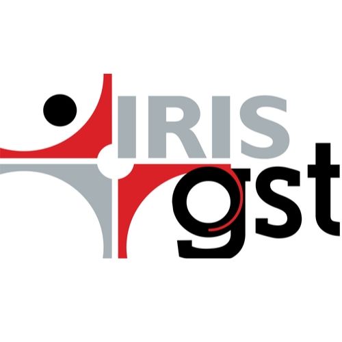 Best GST Software for Mid and Large Size Businesses | IRISGST