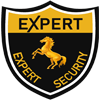 Expert Security -