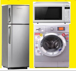 Professional Electronic Service